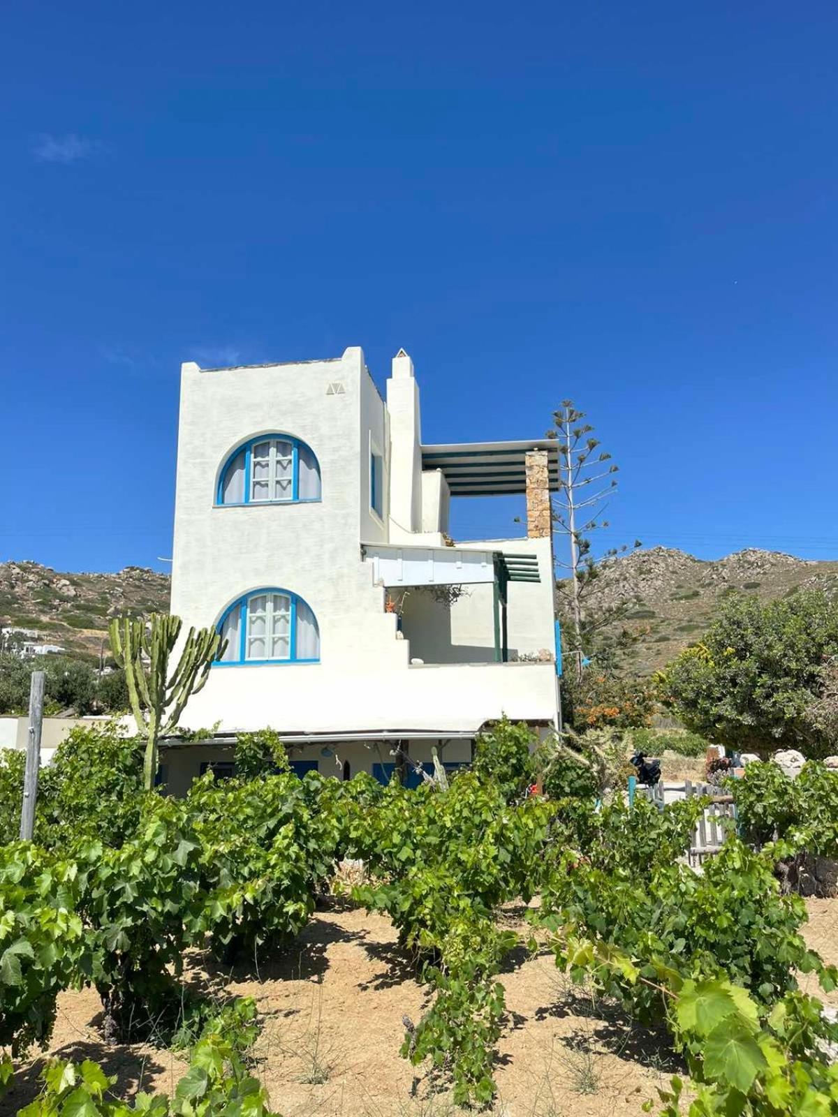Hotel Matina'S Vineyard Mikri Vigla Exterior foto