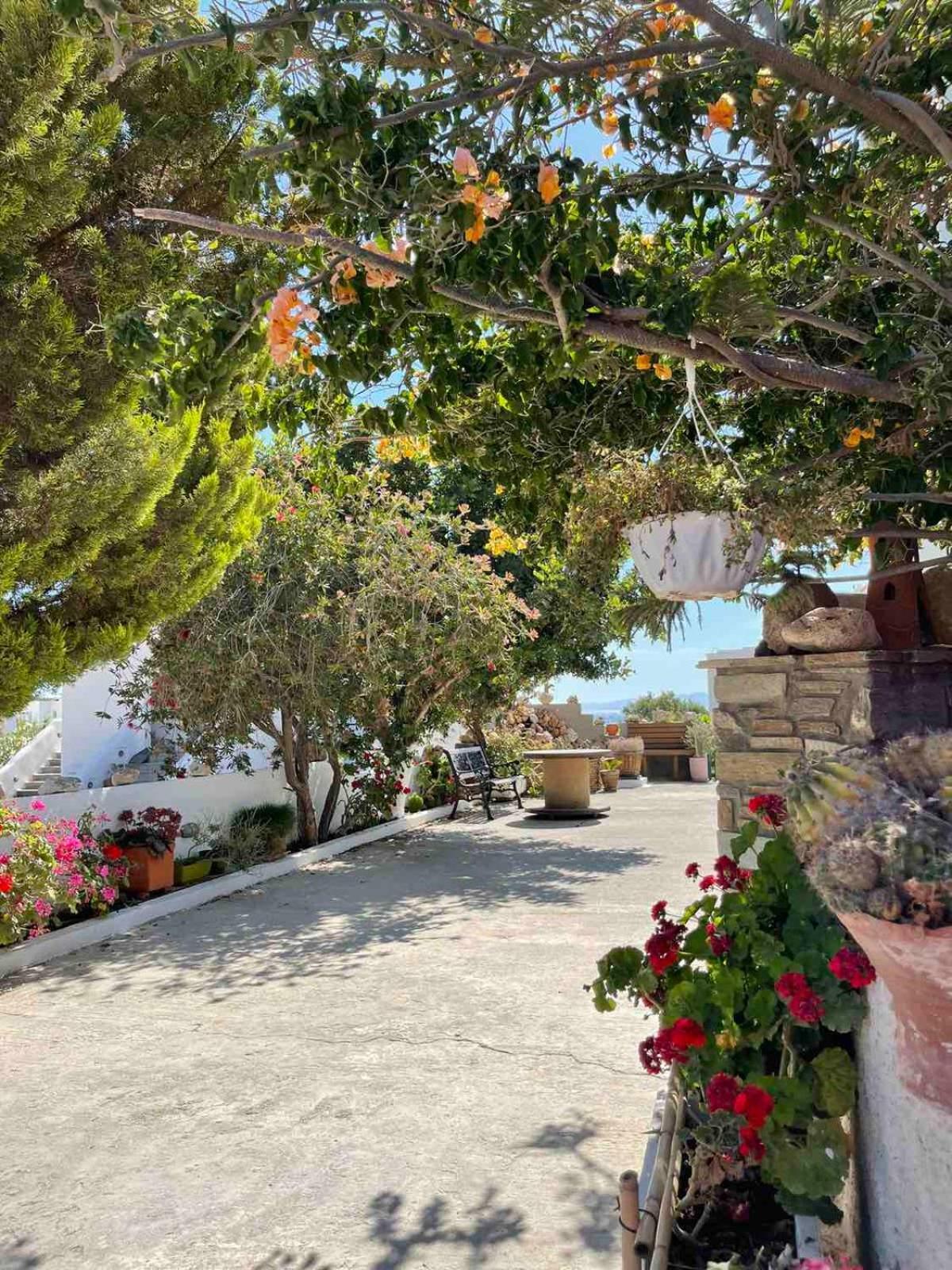 Hotel Matina'S Vineyard Mikri Vigla Exterior foto
